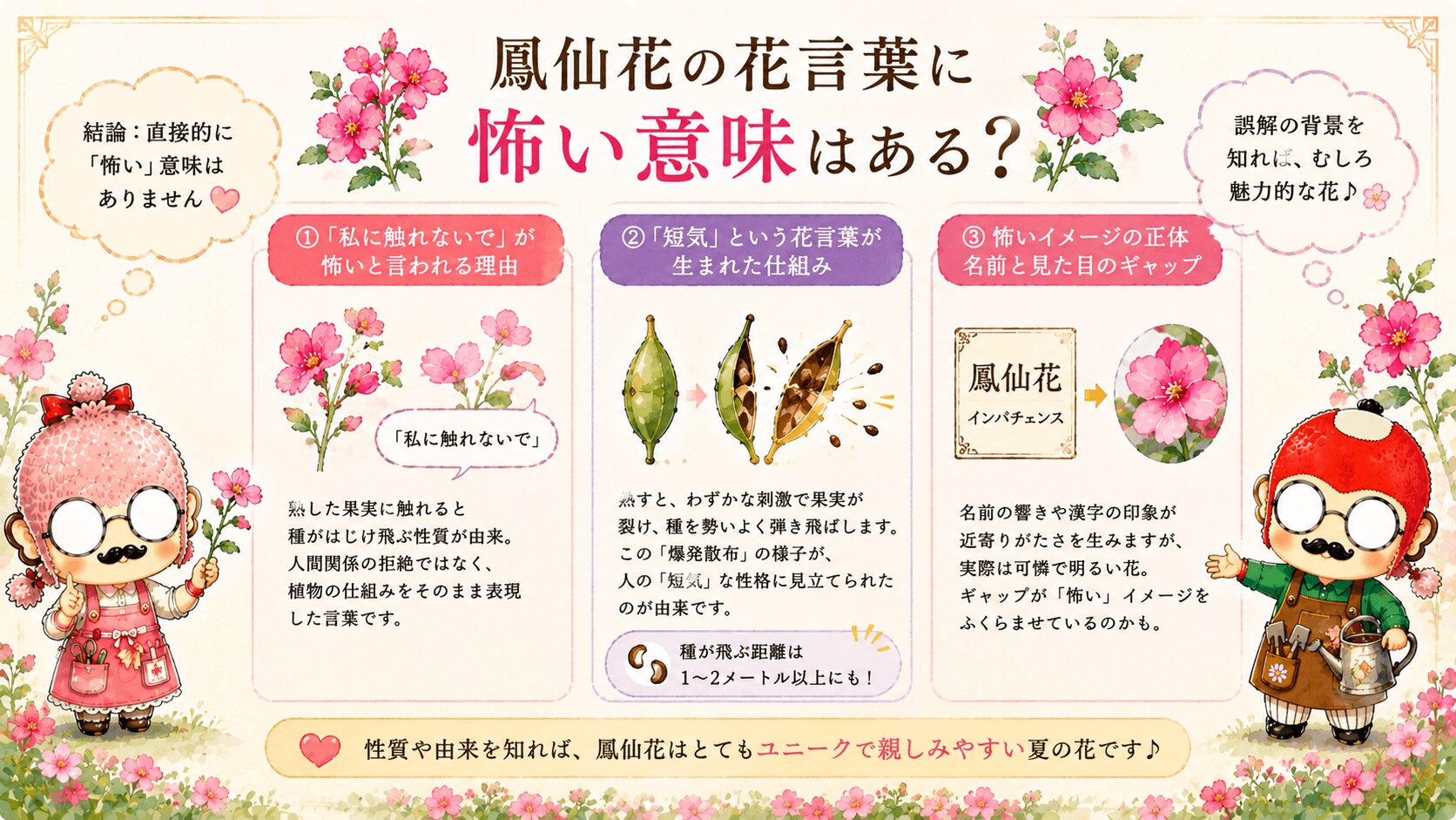 鳳仙花の花言葉「私に触れないで」は怖い?神話の真相と色別の意味